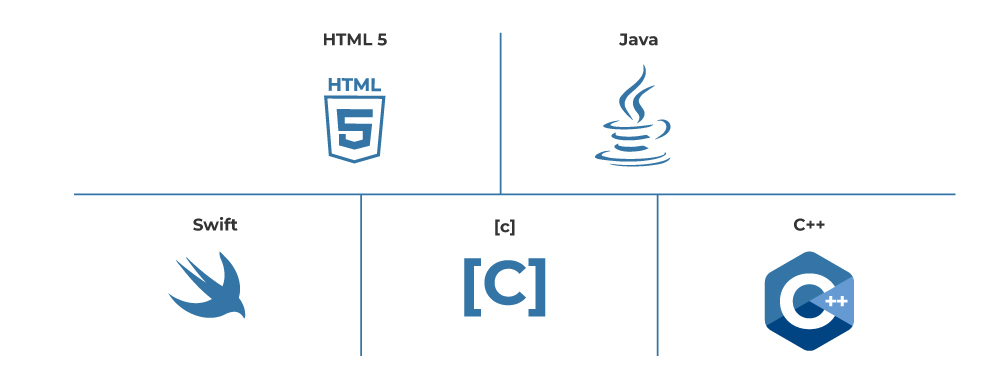 software development