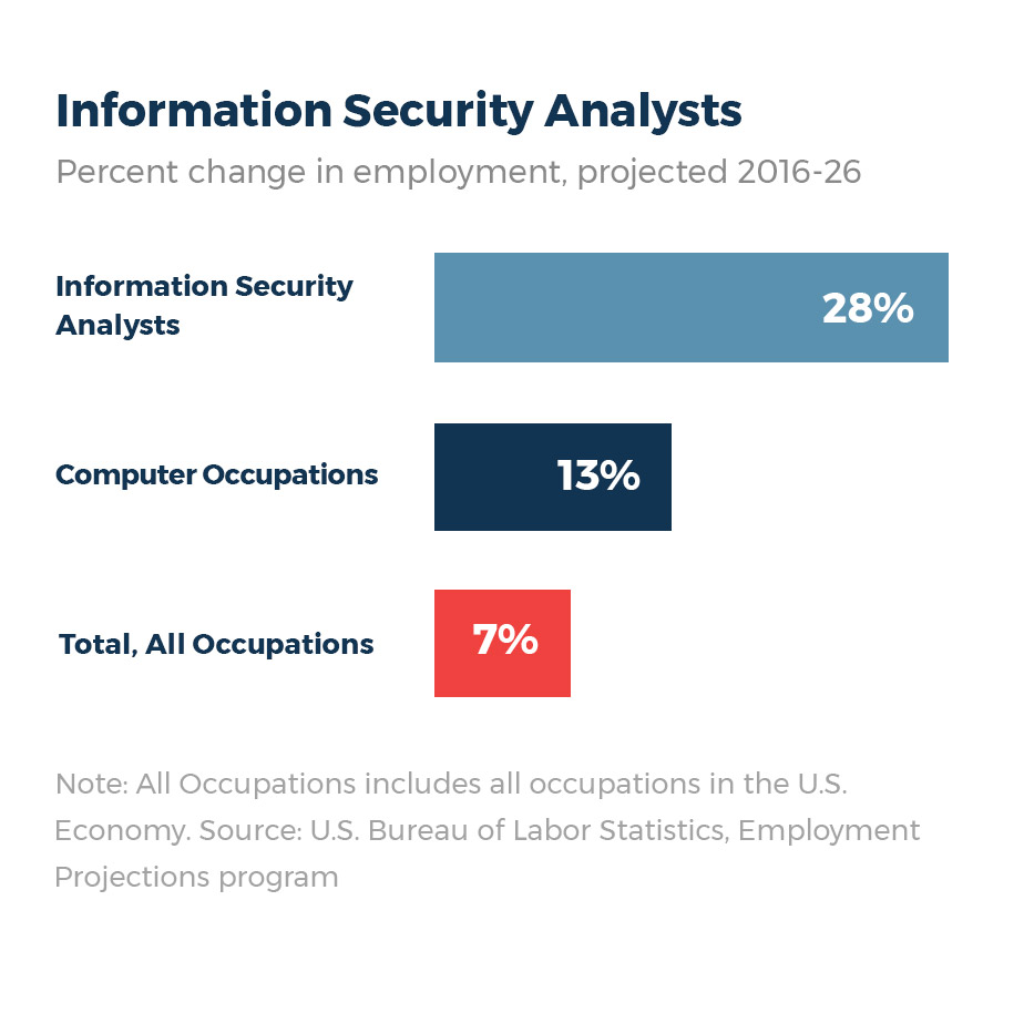 cyber security specialist