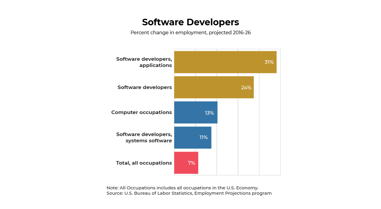 software developer